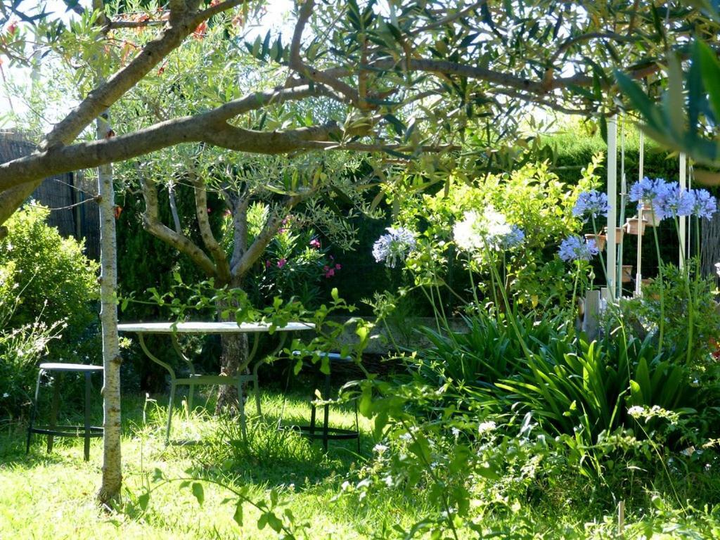 Casa-Tena-Sorede Sorède Quarto foto